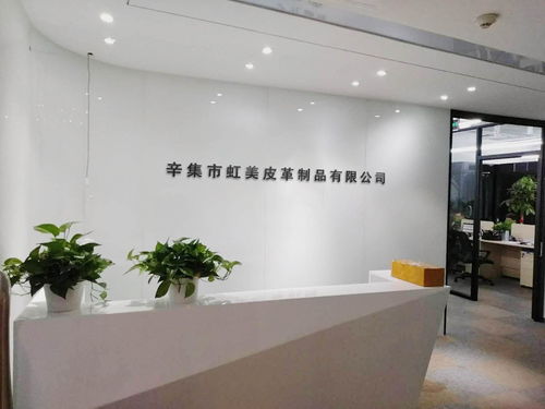 辛集市虹美皮革制品 以專業會議及展覽服務，打造皮革行業交流新平臺